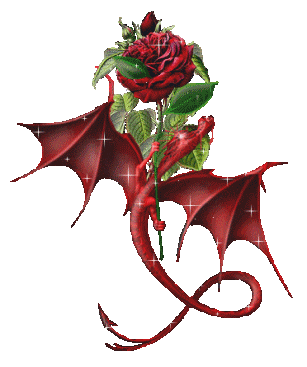 Dragon and the Rose the rose dragon